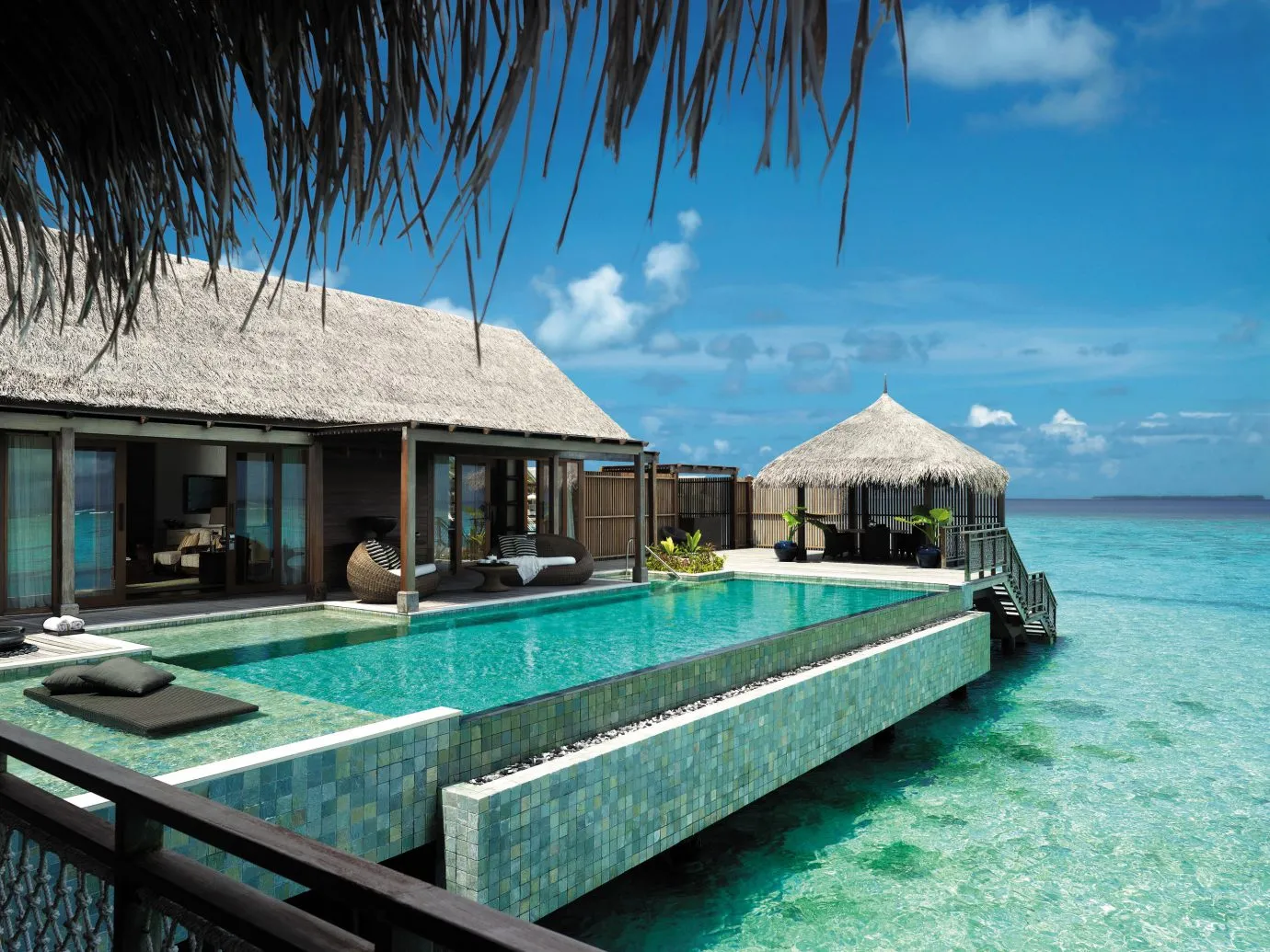 Tropical Paradise